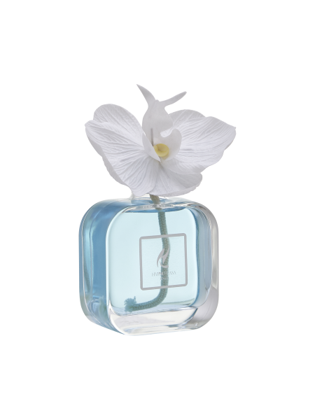 Dyfuzor z orchideą Aqua Marina 100ml